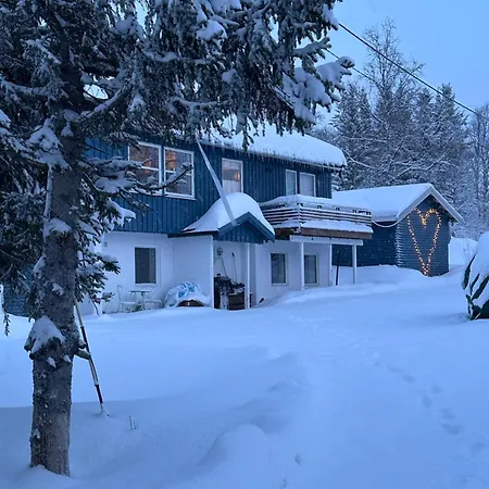 House With Charm, Valley With Lots Of Northern Lights, Breivikeidet Tromso Exterior photo