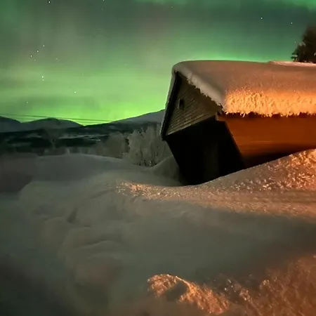 House With Charm, Valley With Lots Of Northern Lights, Breivikeidet Tromso Exterior photo