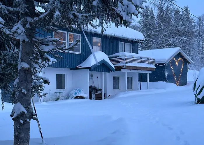 House With Charm, Valley With Lots Of Northern Lights, Breivikeidet