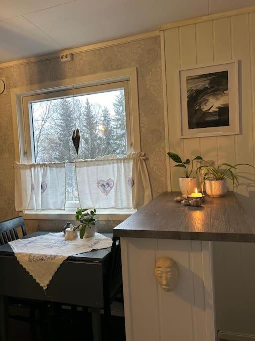 House With Charm, Valley With Lots Of Northern Lights, Breivikeidet *