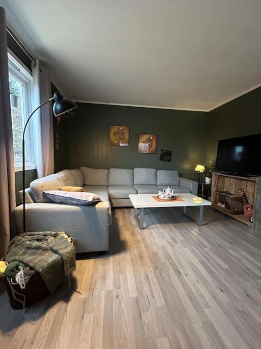 House With Charm, Valley With Lots Of Northern Lights, Breivikeidet Tromso