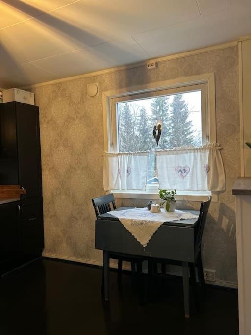 House With Charm, Valley With Lots Of Northern Lights, Breivikeidet Holiday home