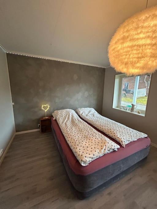 House With Charm, Valley With Lots Of Northern Lights, Breivikeidet Holiday home *
