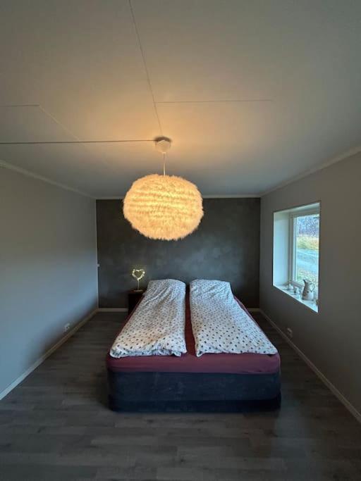 House With Charm, Valley With Lots Of Northern Lights, Breivikeidet * Tromso