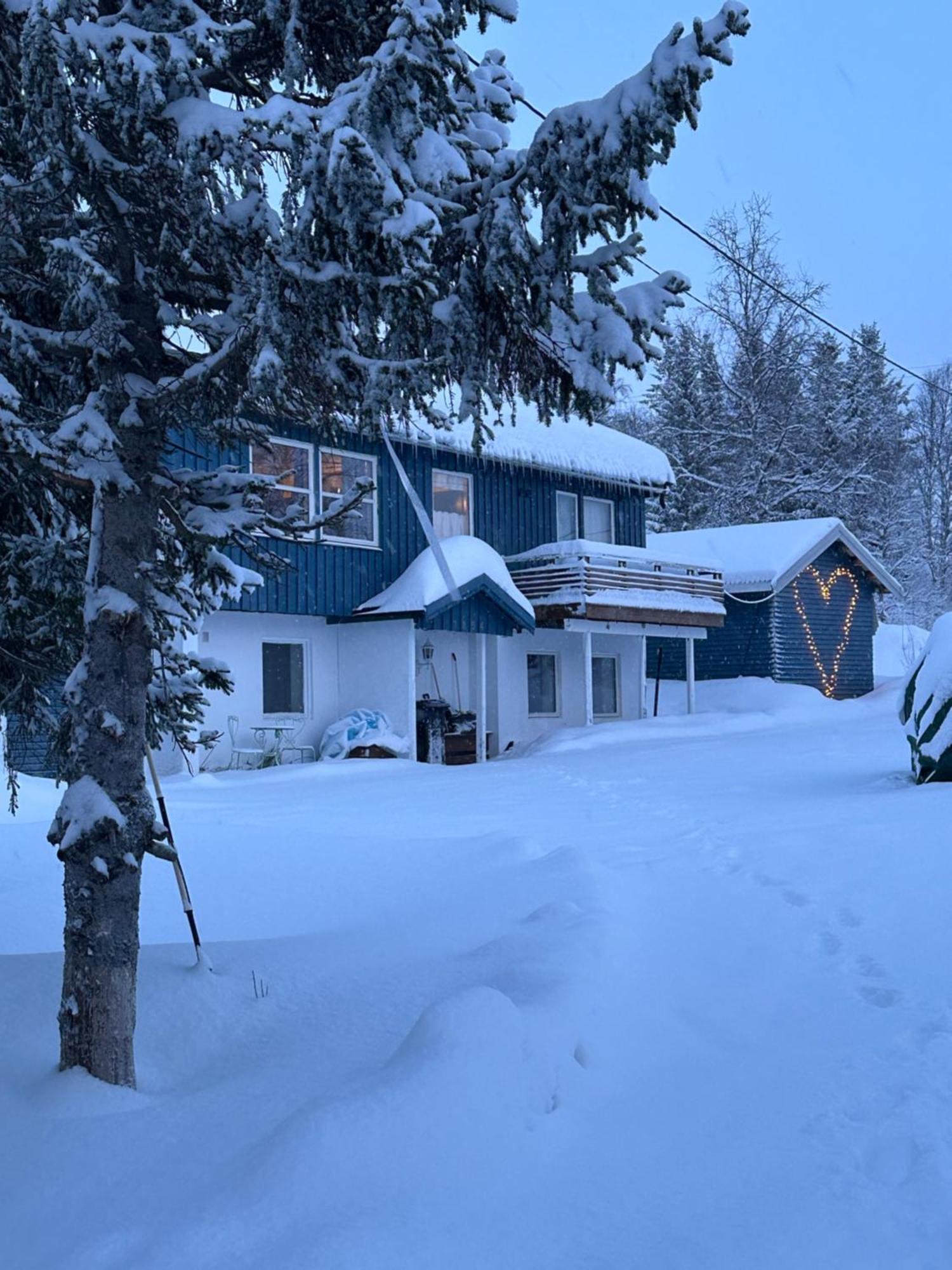 House With Charm, Valley With Lots Of Northern Lights, Breivikeidet *