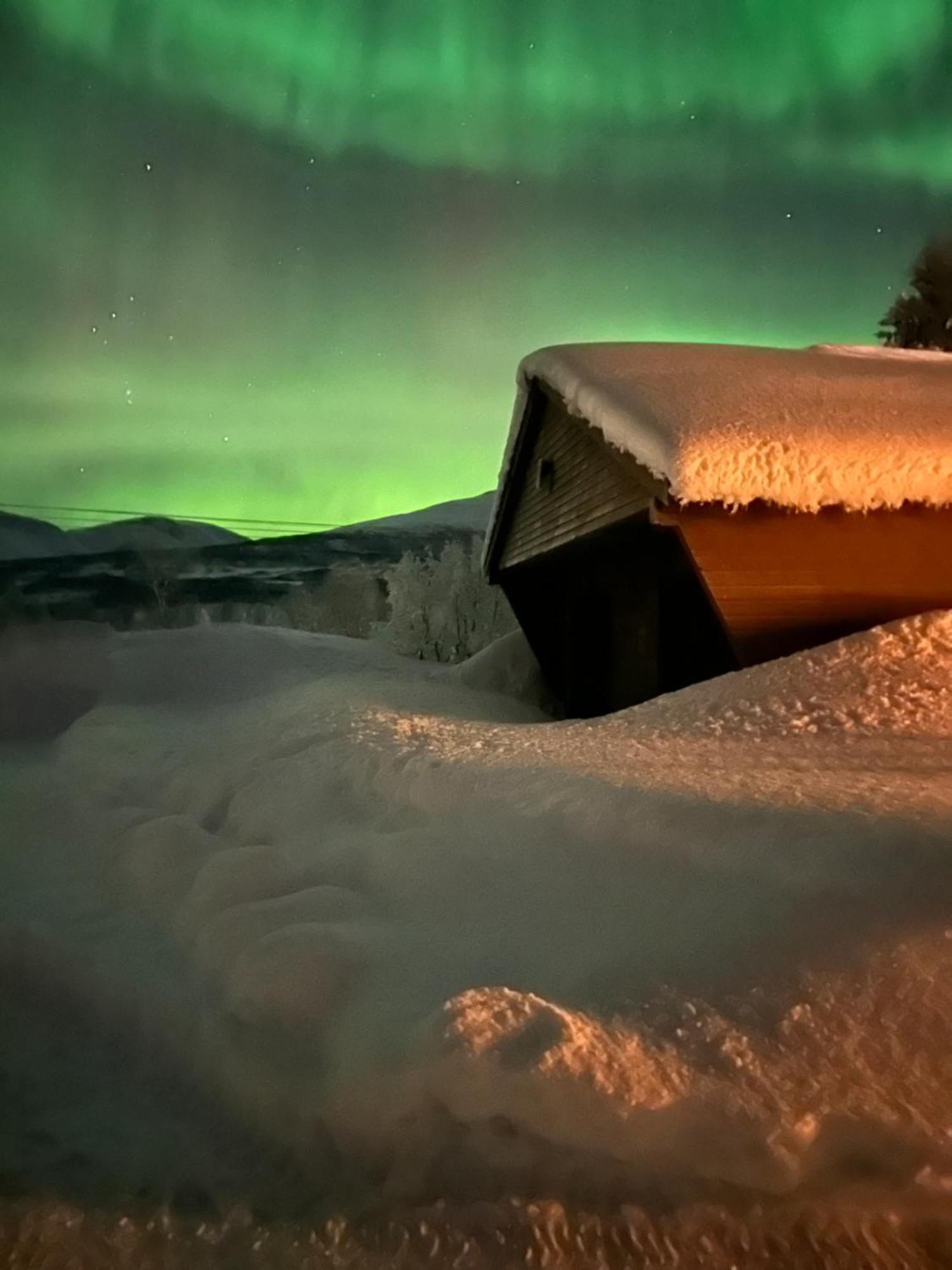 House With Charm, Valley With Lots Of Northern Lights, Breivikeidet Holiday home