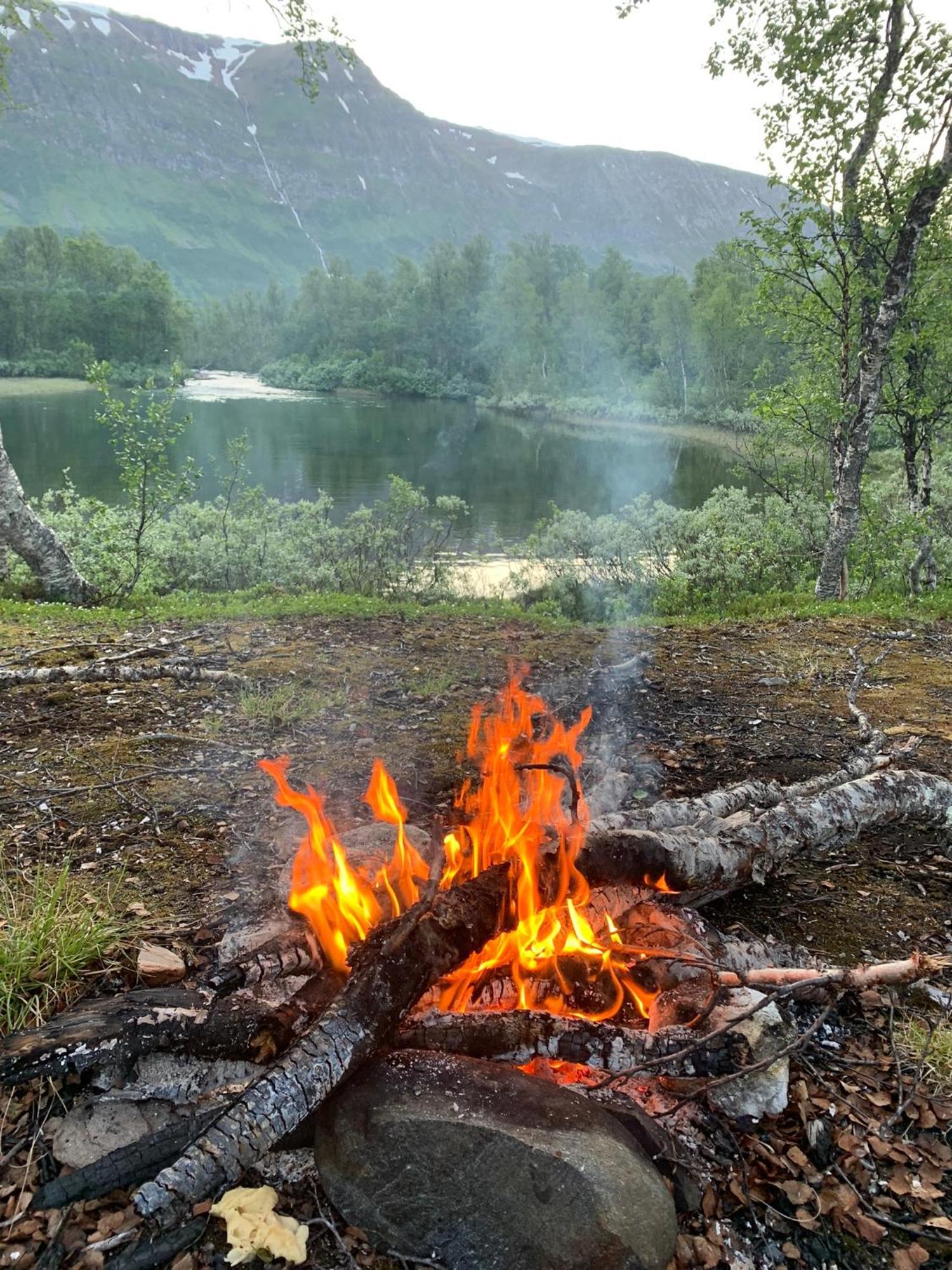 House With Charm, Valley With Lots Of Northern Lights, Breivikeidet Holiday home *